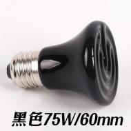 陶瓷加熱燈-黑色75W/60mm