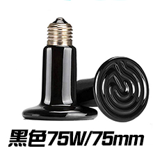 陶瓷加熱燈-黑色75W/75mm
