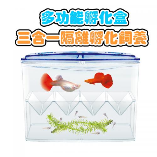 魚苗繁殖盒-外置式