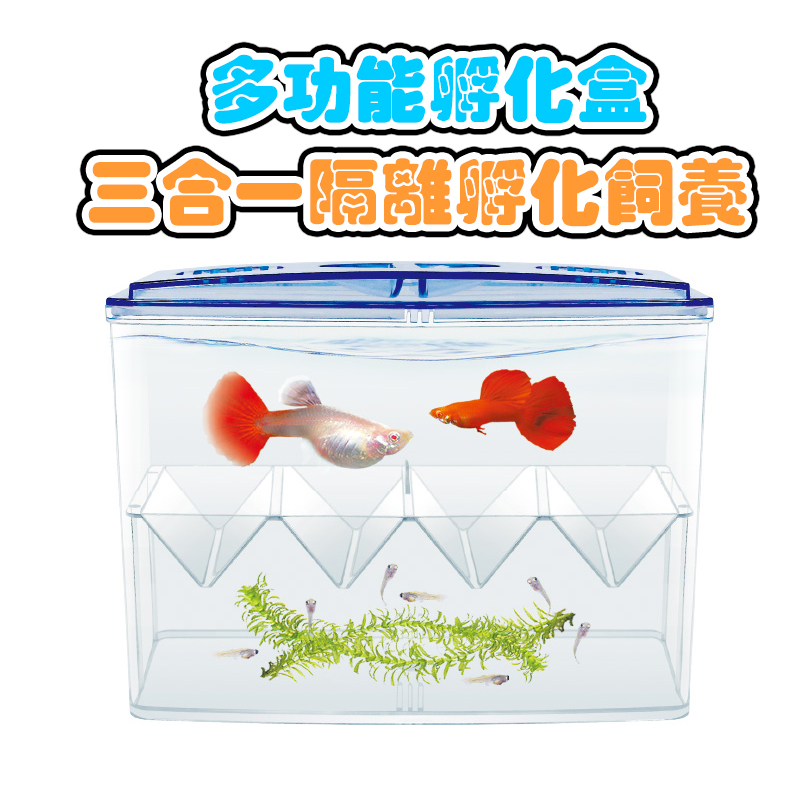 魚苗繁殖盒-外置式