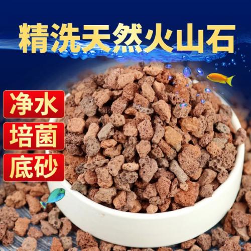 火山石多孔隙天然濾材500g