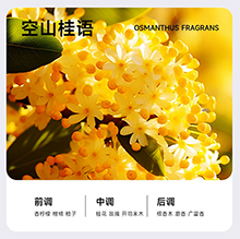 香氛精油-空山桂語