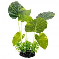 仿真水草-葉子草