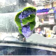 仿真漂浮石水族造景