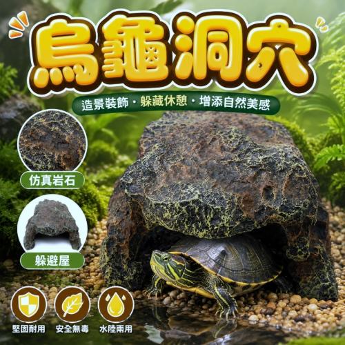 小龜洞穴-G051