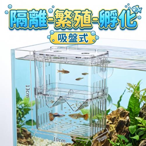 孔雀鱼繁殖盒-大號