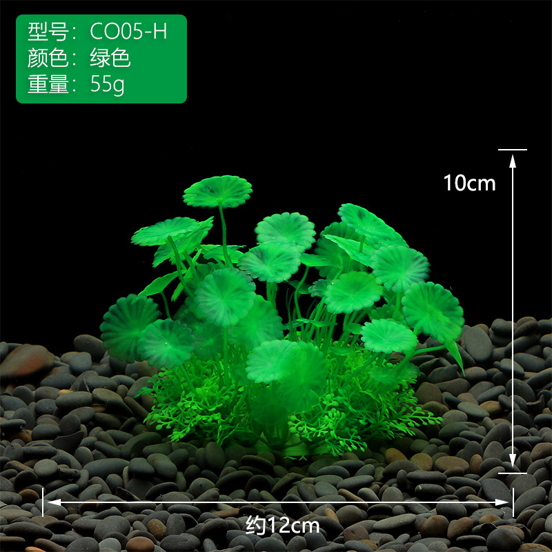 魚缸水草造景-CO05
