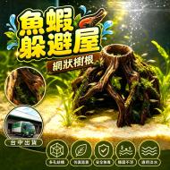 魚蝦躲避樹根-GS1732